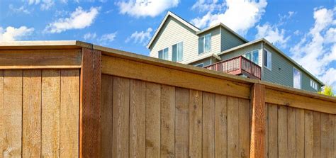 trellis law california